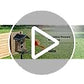 Complete Bird Feeder Accessory Kit DIY Add-Ons Including Mini Hummingbird Feeder, 2 Fruit Holders, Jelly Feeder, Compatible with Kiwibit Smart Bird Feeder with Camera to Attract More Birds