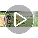 Complete Bird Feeder Accessory Kit DIY Add-Ons Including Mini Hummingbird Feeder, 2 Fruit Holders, Jelly Feeder, Compatible with Kiwibit Smart Bird Feeder with Camera to Attract More Birds