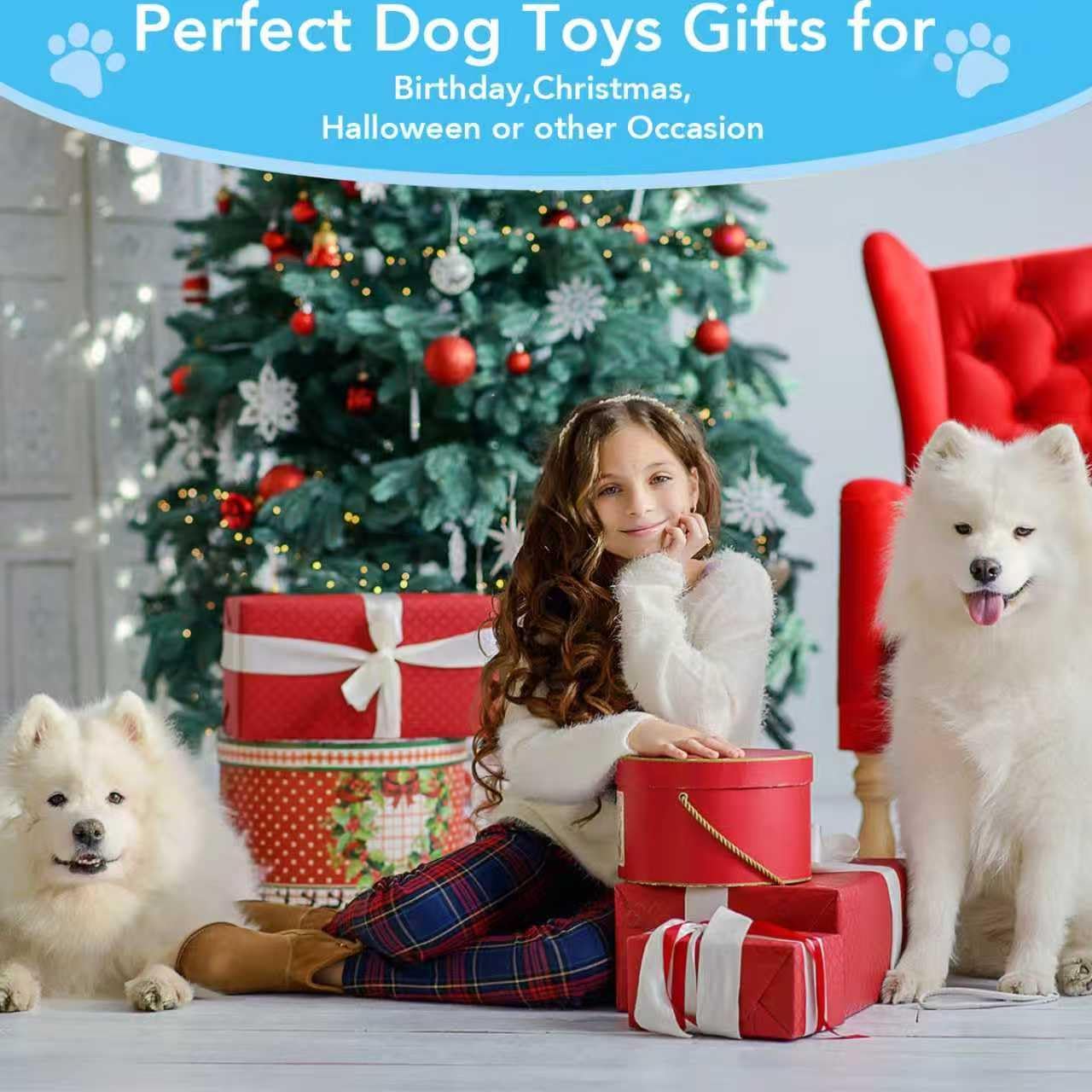 5 Pack Squeaky Dog Toys.Tough Plush Chew Toys for Dogs.Interactive Dog Toys to Keep Small Medium Large Breed Dogs Busy .Durable Anti-Boredom Dog Toy for Teething & Playtime.