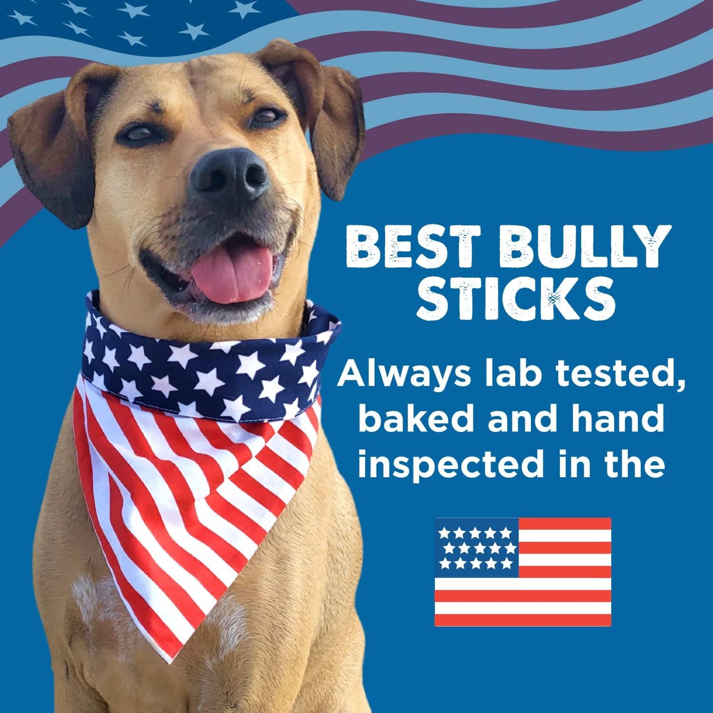 Best Bully Sticks Thick 6 Inch Bully Sticks for Dogs - 5 Count (Pack of 1) - Natural, Grass-Fed Beef, Single Ingredient, Grain and Rawhide Free - Large Breeds