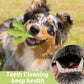 MewaJump Dog Chew Toys, Durable Rubber Dog Toys for Aggressive Chewers, Cactus Tough Toys for Training and Cleaning Teeth, Interactive Dog Toys for Medium/Large Dog