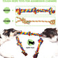 SHARLOVY Large Tough Chew Toys for Aggressive Chewers Large Breed,Heavy Duty Dental Rope Toys Kit for Medium Dogs,5 Knots Indestructible Cotton Puppy Teething Chew Tug Toy Set of 9