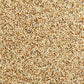Wild Harvest Daily Blend Nutrition Diet for Parakeet, Canary and Finch 10 Pounds, Orange flavour