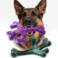 Frienhund Aggressive Chewers Dog Chew Toys - 2 Pack Tough Dog Toys for Aggressive Chewers Large Breed, Indestructible Dogs Toy for Gift, Interactive to Keep Them Busy