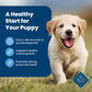 Blue Buffalo Life Protection Formula Puppy Dry Dog Food with DHA and ARA, Made with Natural Ingredients, Chicken & Brown Rice Recipe, 5-lb Bag