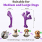 Frienhund Aggressive Chewers Dog Chew Toys - 2 Pack Tough Dog Toys for Aggressive Chewers Large Breed, Indestructible Dogs Toy for Gift, Interactive to Keep Them Busy