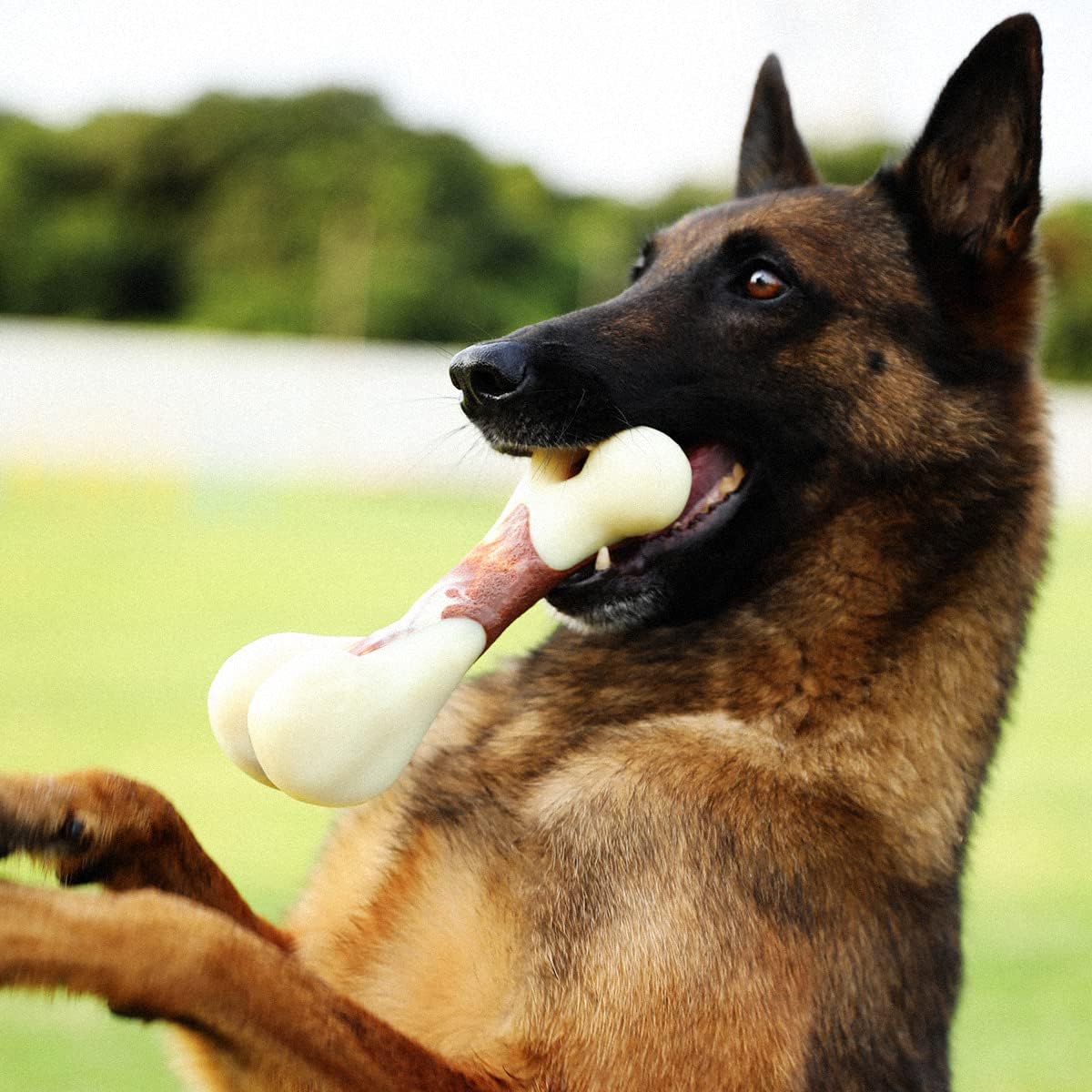 Tikaton Indestructible Dog Chew Toys for Aggressive Chewers, Beef Flavor Durable Dog Teething Chew Toys Bones for Large/Medium/Small Puppies
