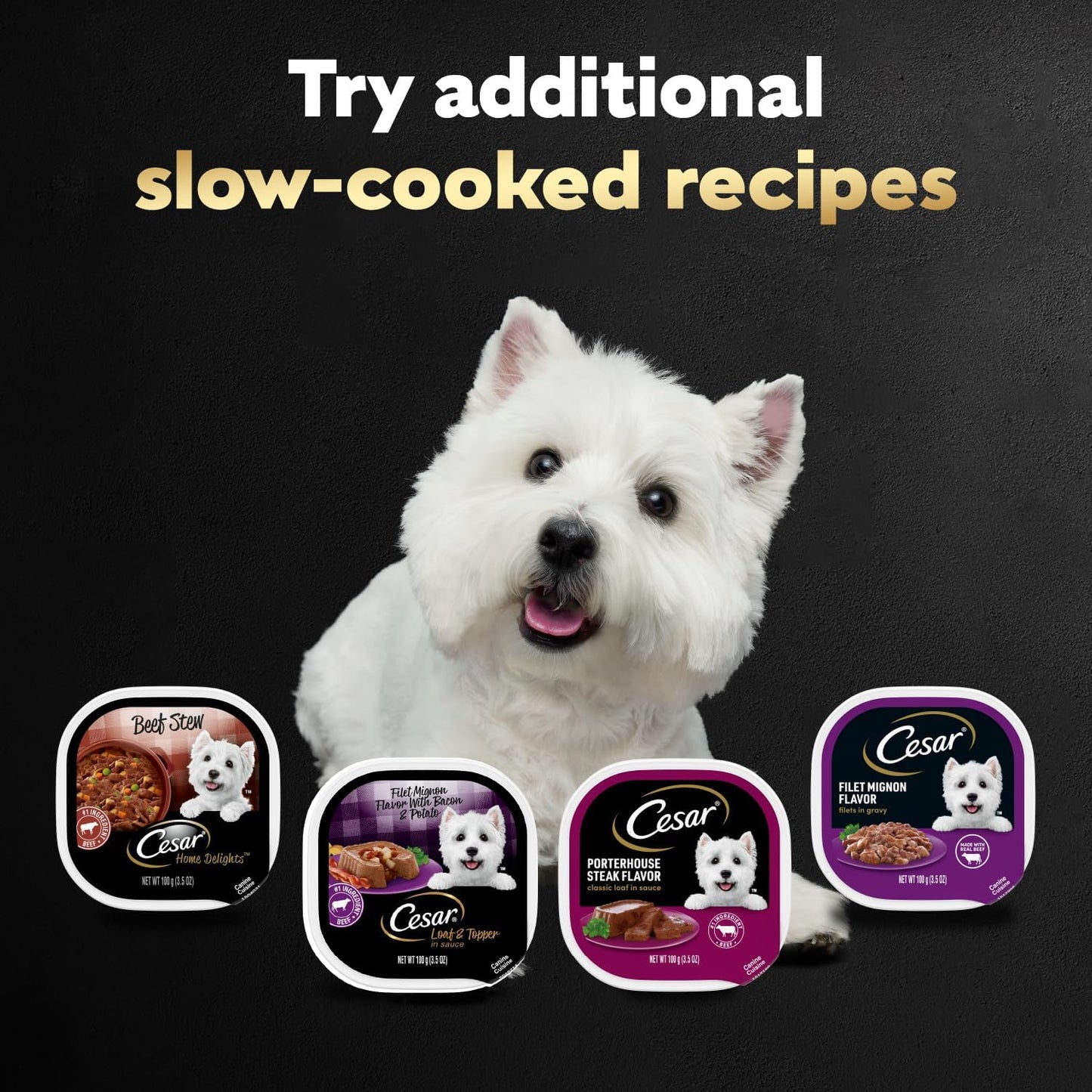Cesar Wet Dog Food Steak Lovers Variety Pack, Adult, Wet Food for Dogs with Real Meat, 3.5 oz Easy Peel Trays, 24 Count