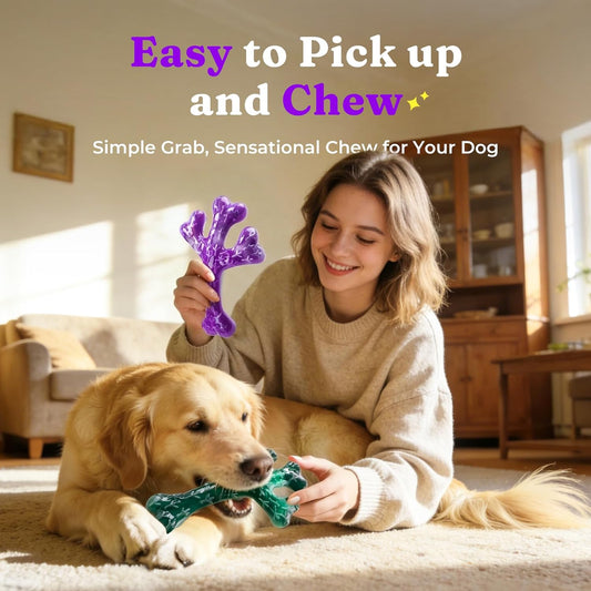 Frienhund Aggressive Chewers Dog Chew Toys - 2 Pack Tough Dog Toys for Aggressive Chewers Large Breed, Indestructible Dogs Toy for Gift, Interactive to Keep Them Busy