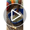 HASHI Bird Cage Liner - 120 Disposable Sheets Made from Acid-Free Newsprint. Non-Toxic for Birds, Ideal for Packing, Pet Cages, Crafts, Shipping, and Moving. Easy to Clean (31"x21.5")
