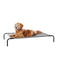 Basics Cooling Breathable Elevated Dog Bed with Metal Frame for Large Dogs, 51 x 31 x 8 Inch, Grey