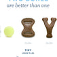 Benebone Puppy 2-Pack Dental Chew/Wishbone Dog Chew Toys, Made in USA, Real Bacon Flavor