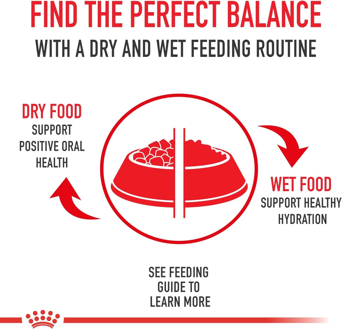 Royal Canin Size Health Nutrition Small Adult Dry Dog Food, 14 lb Bag