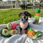 Nocciola Small Squeaky Crinkle Dog Toys- 15 Packs Grocery Basket Fruits Veggies Puppy Toys to Keep Busy, Cute Durable Plush Stuffed Hide Seek Cognitive Dog Christmas Stocking Stuffers