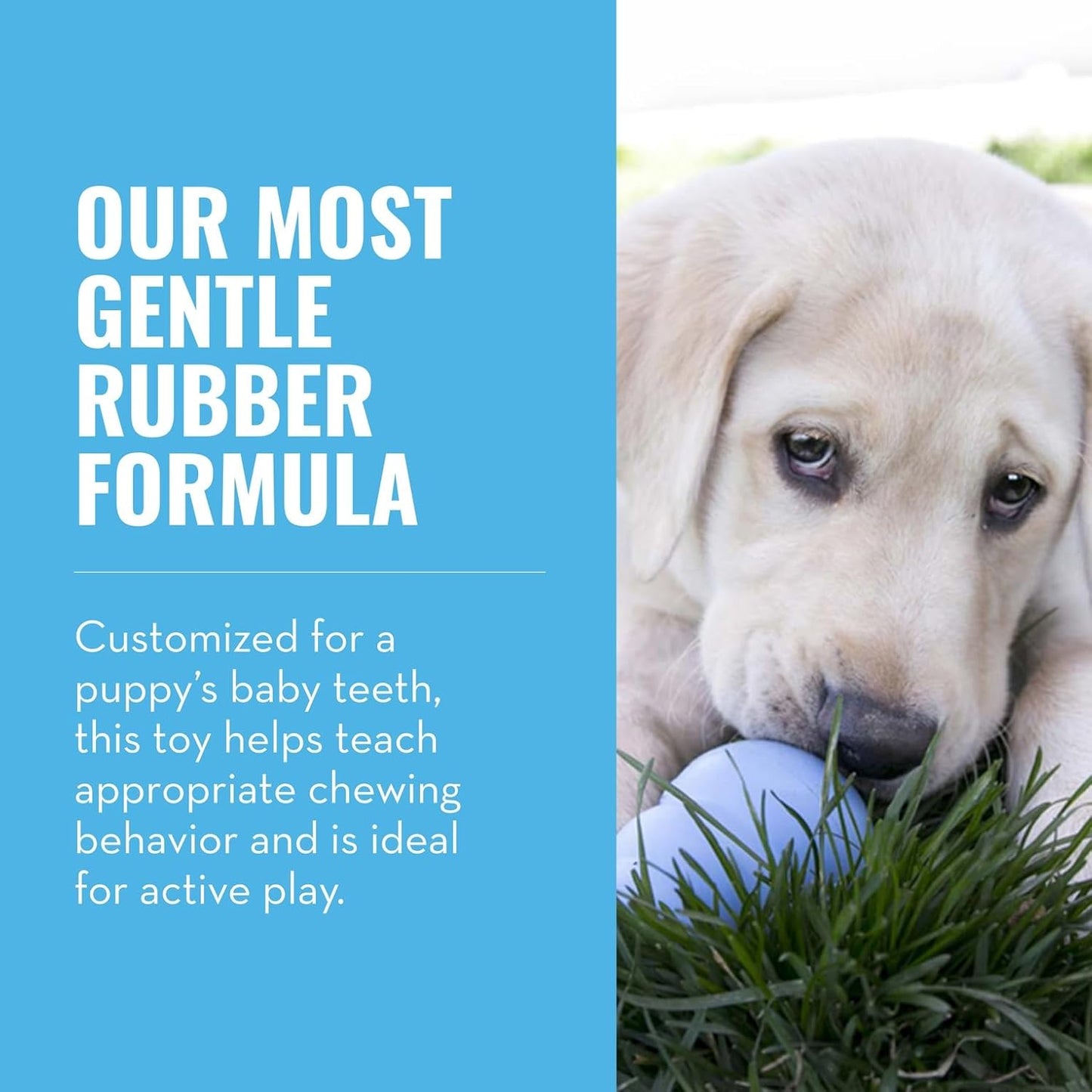 KONG Puppy - Natural Teething Rubber Chew Toy for Dogs - Stuffable Dog Toy for Extended Playtime - Chew & Fetch Toy for Puppies - for Small Puppies - Blue
