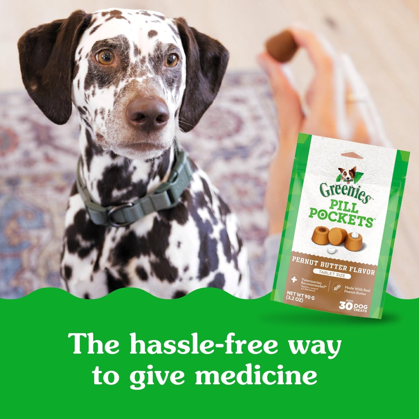 Greenies Pill Pockets for Dogs, Large Size Soft Dog Treats, Peanut Butter Flavor, 15.8 oz. Pouch