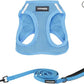 Best Pet Supplies Voyager Step-in Air All Weather Mesh Harness and Reflective Dog 5ft Leash Combo with Neoprene Handle, for Small, Medium and Large
