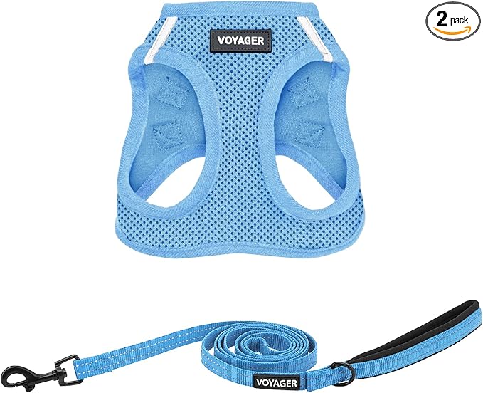 Best Pet Supplies Voyager Step-in Air All Weather Mesh Harness and Reflective Dog 5ft Leash Combo with Neoprene Handle, for Small, Medium and Large