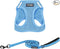 Best Pet Supplies Voyager Step-in Air All Weather Mesh Harness and Reflective Dog 5ft Leash Combo with Neoprene Handle, for Small, Medium and Large