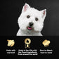 Cesar Wet Dog Food Steak Lovers Variety Pack, Adult, Wet Food for Dogs with Real Meat, 3.5 oz Easy Peel Trays, 24 Count