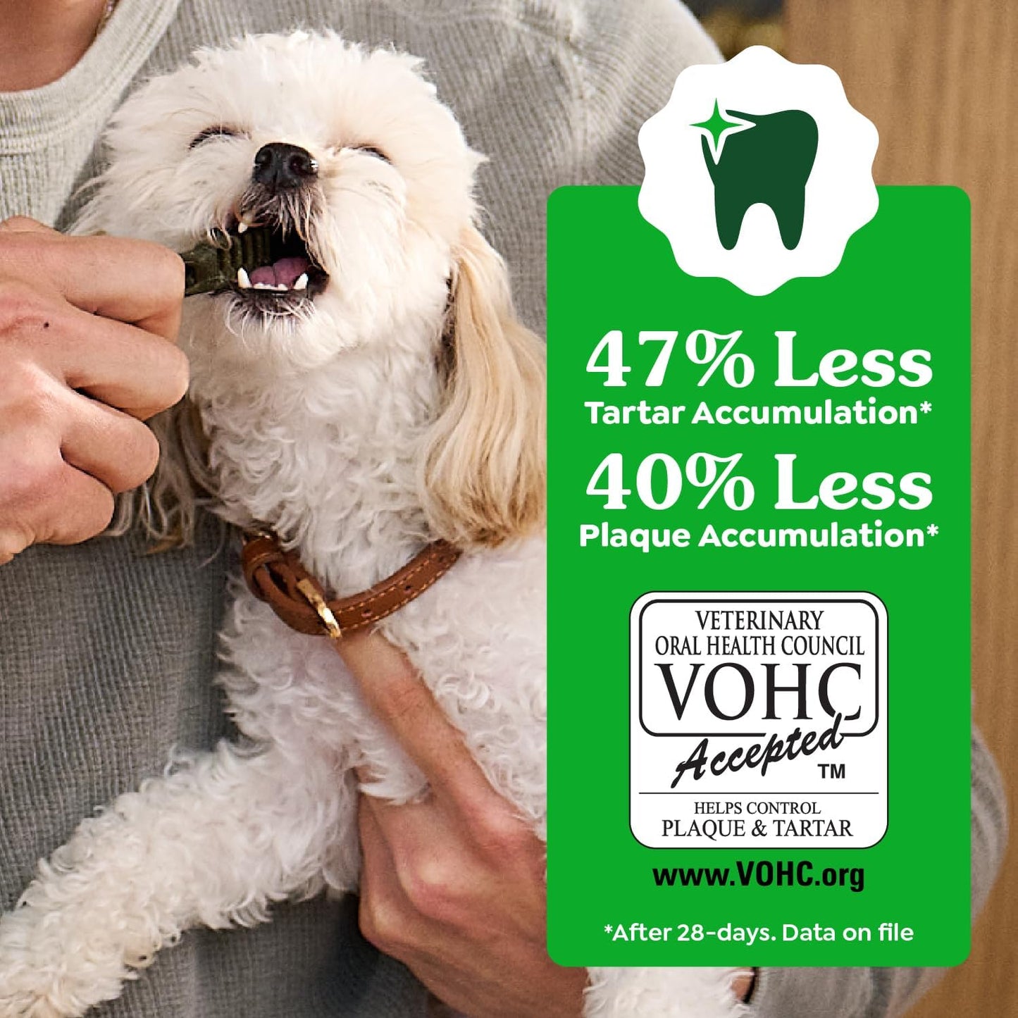 Greenies Veterinarian-Recommended Adult Natural Dental Dog Treats Petite Size, Original Flavor, 36 oz. Pack, 60 Count