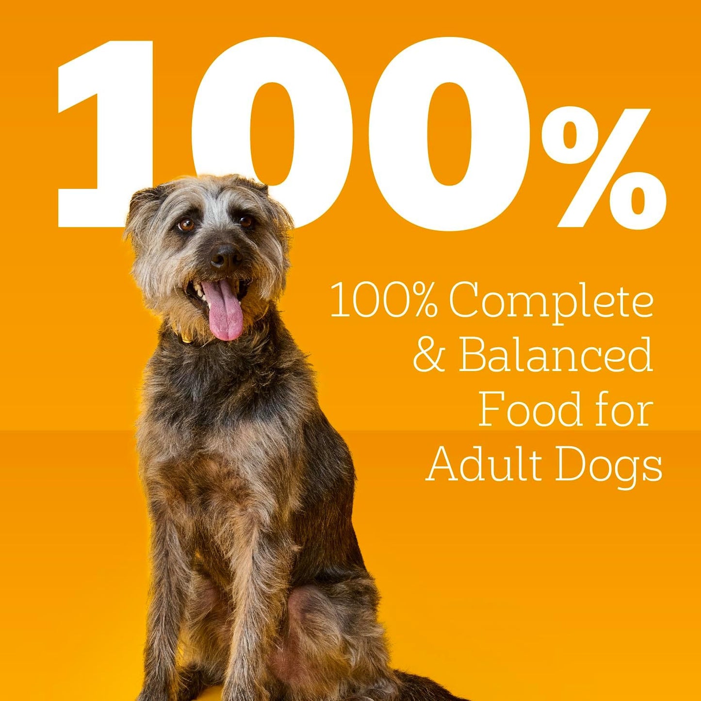 Pedigree Chopped Ground Dinner Wet Dog Food Beef & Bacon Variety Pack, (30) 3.5 oz. Pouches