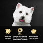 Cesar Wet Dog Food Steak Lovers Variety Pack, Adult, Wet Food for Dogs with Real Meat, 3.5 oz Easy Peel Trays, 36 Count