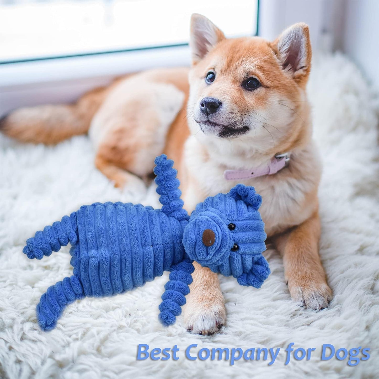 5Pack Dog Squeaky Plush Toys Puppy Toys Assortment Value Bundle Bulk Large Dog Teething Pet Chew Toys