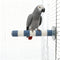 AOTU Bird Perch Rough-surfaced Parrot Perch Bird Stand for Cage– Durable Beak & Claw Trimming Grinding Stone for Conure, 7.9” x 1” – Safe Non-Toxic Long-Lasting Cockatiel Cage Accessory
