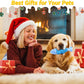 WinTour Tough Dog Toys for Aggressive Chewers, Indestructible Dog Chewers for Medium & Large Breeds, Squeaky Durable Chew Toys to Keep Them Busy, Reduce Boredom, Teeth Cleaning, Bacon Flavor