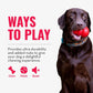KONG Ring - Natural Rubber Ring Toy for Healthy Chewing Habits - Chew Toy Supports Dog Dental Health - Dog Toy Supports Instincts During Playtime - for Small/Medium Dogs