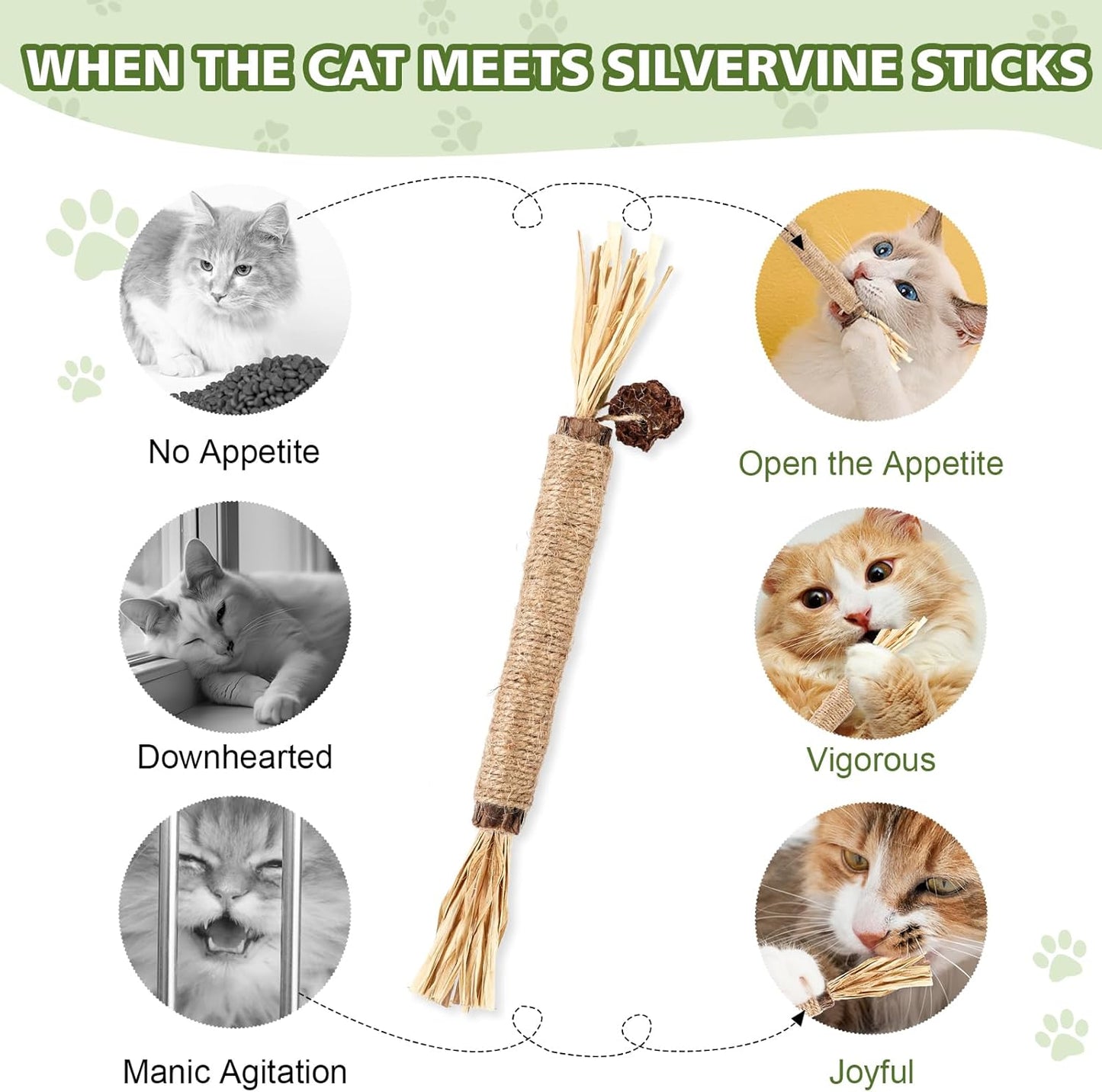 WOUSEDO 6 Pack Silvervine Sticks Cat Toy, Natural Chew Stick for Dental Care Teeth Cleaning,Matatabi Cat nip Treat Toys for Indoor Cats& Kittens