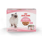 Royal Canin Feline Health Nutrition Kitten Thin Slices in Gravy Cat Food, 3 oz (Pack of 12)