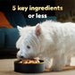 Cesar Simply Crafted Wet Dog Food Toppers for Dry Food, Chicken, Carrots, Potatoes & Peas and Chicken, Sweet Potato, Apple, Barley & Spinach Meal Topper Variety Pack, 1.3 oz. Tubs, 8 Count (Pack of 2)