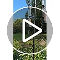 Bird Feeding Station, 90.55in 6-Hook Wild Bird Feeder Stand Pole with Water & Mesh Tray Humming Bird Feeders for Outdoors Easy Assembly for Courtyards Gardens (Black)