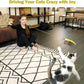 Cat Toys for Indoor Cats, Interactive Cat Toy 2PCS Retractable Wand Toy and 9PCS Cat Feather Toys Refills, Funny Kitten Toys Cat Fishing Pole Toy for Bored Indoor Cats Chase and Exercise
