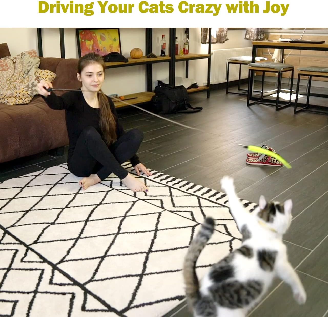 Cat Toys for Indoor Cats, Interactive Cat Toy 2PCS Retractable Wand Toy and 9PCS Cat Feather Toys Refills, Funny Kitten Toys Cat Fishing Pole Toy for Bored Indoor Cats Chase and Exercise