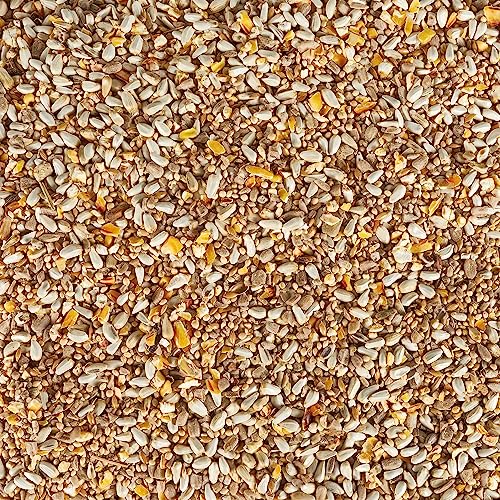 Kaytee Bird & Balcony Wild Bird Food No Mess Seed Blend for City Dwelling Birds Like Finches, Sparrows, Mourning Doves and More, 5 lb