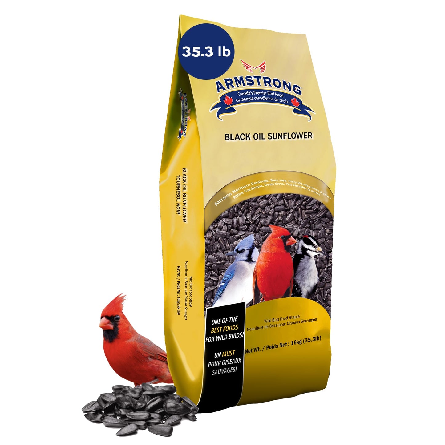 Armstrong Wild Bird Food Black Oil Sunflower Bird Seed, 35.3 Pounds - for Northern Cardinals, Blue Jays and Hairy Woodpeckers - Ideal for Outside Feeders