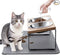 Upgraded Elevated Cat Bowls with Food Mat,15°Tilted Stand Anti Vomiting Raised Cat Dishes for Food and Water,2 Stainless Steel Bowls for Cats and Puppy