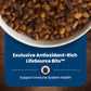 Blue Buffalo Life Protection Formula Small Breed Senior Dry Dog Food, Supports Joint Health and Immunity, Made with Natural Ingredients, Chicken & Brown Rice Recipe, 5-lb Bag