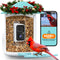 NETVUE by Birdfy Smart Bird Feeder with 2K AI Camera, Auto Capture Videos & Motion Detection, Live Steam, Wireless Wildbird Watching, Ideal Gift for Outdoor Backyard Birder(AI by Subscription)