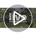 NETVUE by Birdfy Smart Bird Feeder with 2K HD AI Camera Solar Powered, Wireless Wildbird Watching, Live Stream&Color Night Vision, Auto-Capture & Notify, Free Cloud Storage(AI by Subscription)