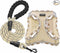 haapaw Dog Harness with Leash Set, No Pull Adjustable Reflective Step-in Puppy Harness with Thickened Padded Vest for Extra-Small/Small Medium Dogs