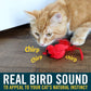 OurPets Play-N-Squeak Real Birds Interactive Cat Toys with Catnip (Cat Toys for Indoor Cats; Catnip Toy for Cats with Bird Chirping Electronic Sound and Feather)