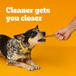 Pedigree Dentastix Small & Medium Breed Dog Treats, Original with Real Chicken, 21.1 oz. Bag (45 Treats)