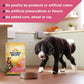 Nature’s Recipe Grain Free Dry Dog Food Salmon, Sweet Potato & Pumpkin Recipe, 24 lb. Bag