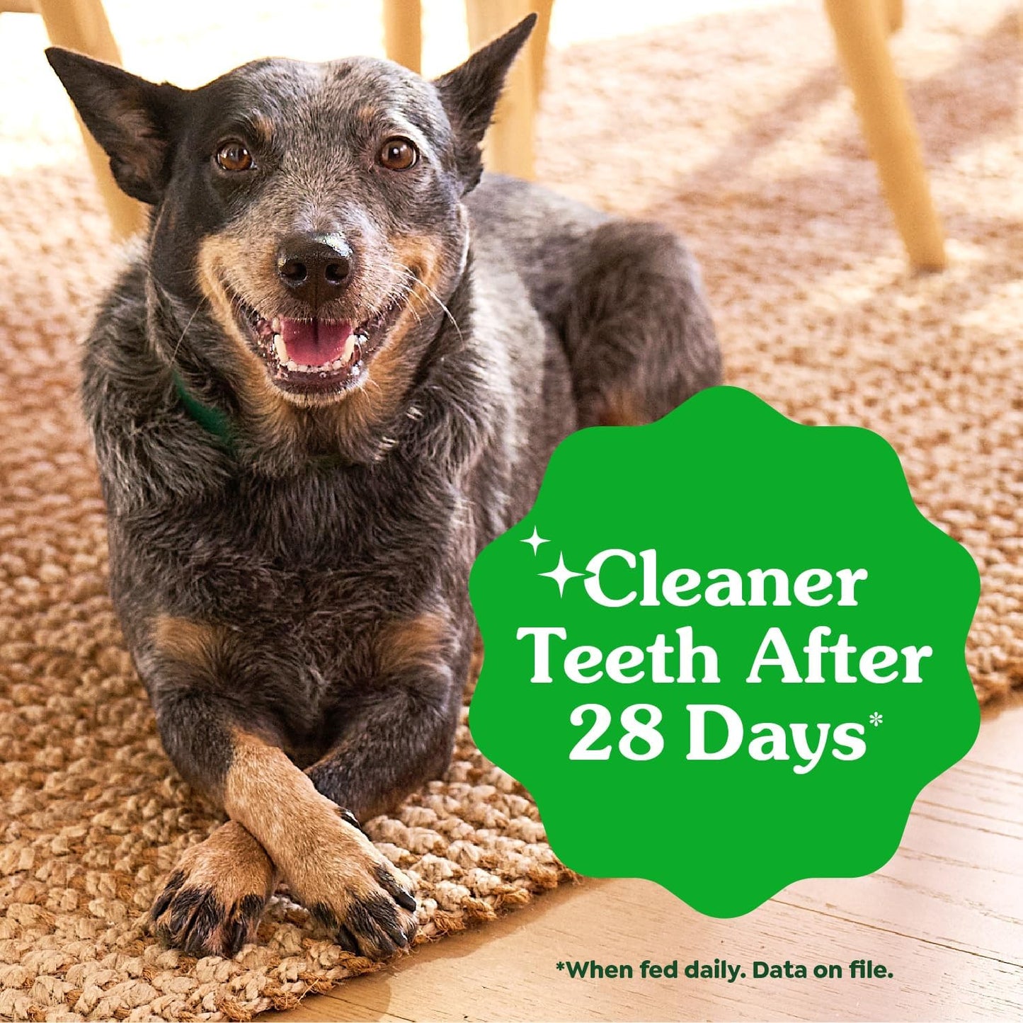 Greenies Veterinarian-Recommended Adult Natural Dental Dog Treats Large Size, Daily Treating, Helps Clean Teeth and Freshen Breath, Original Flavor, 36 oz. Pack, 24 Count