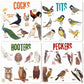 Bird Pun Coasters, Square Funny Coaster Set Coffee Coasters for Bird Lovers Kitchen Decor Housewarming Gifts (4 Pcs)