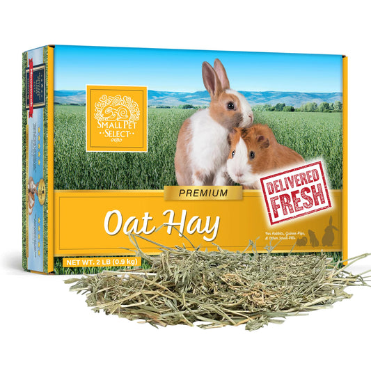 Small Pet Select Oat Hay Pet Food, 2 Lb.